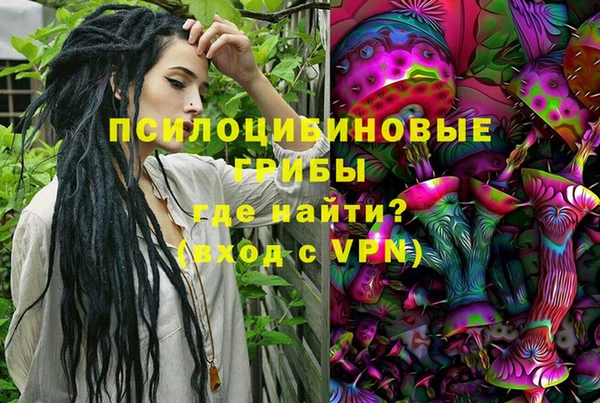 МДПВ Струнино