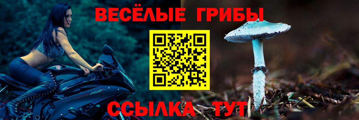 Галлюциногенные грибы Psilocybine cubensis  Псилоцибиновые грибы Psilocybe  Тында  закладки  Вход с VPN 
